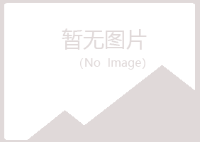 河池忆山咨询有限公司